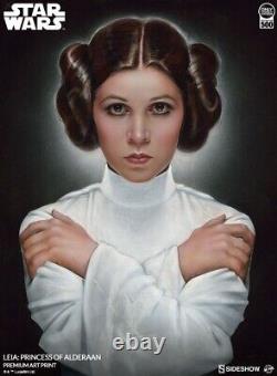 Sideshow Star Wars Princess of Alderaan Leia Print By Olivia de Berardinis